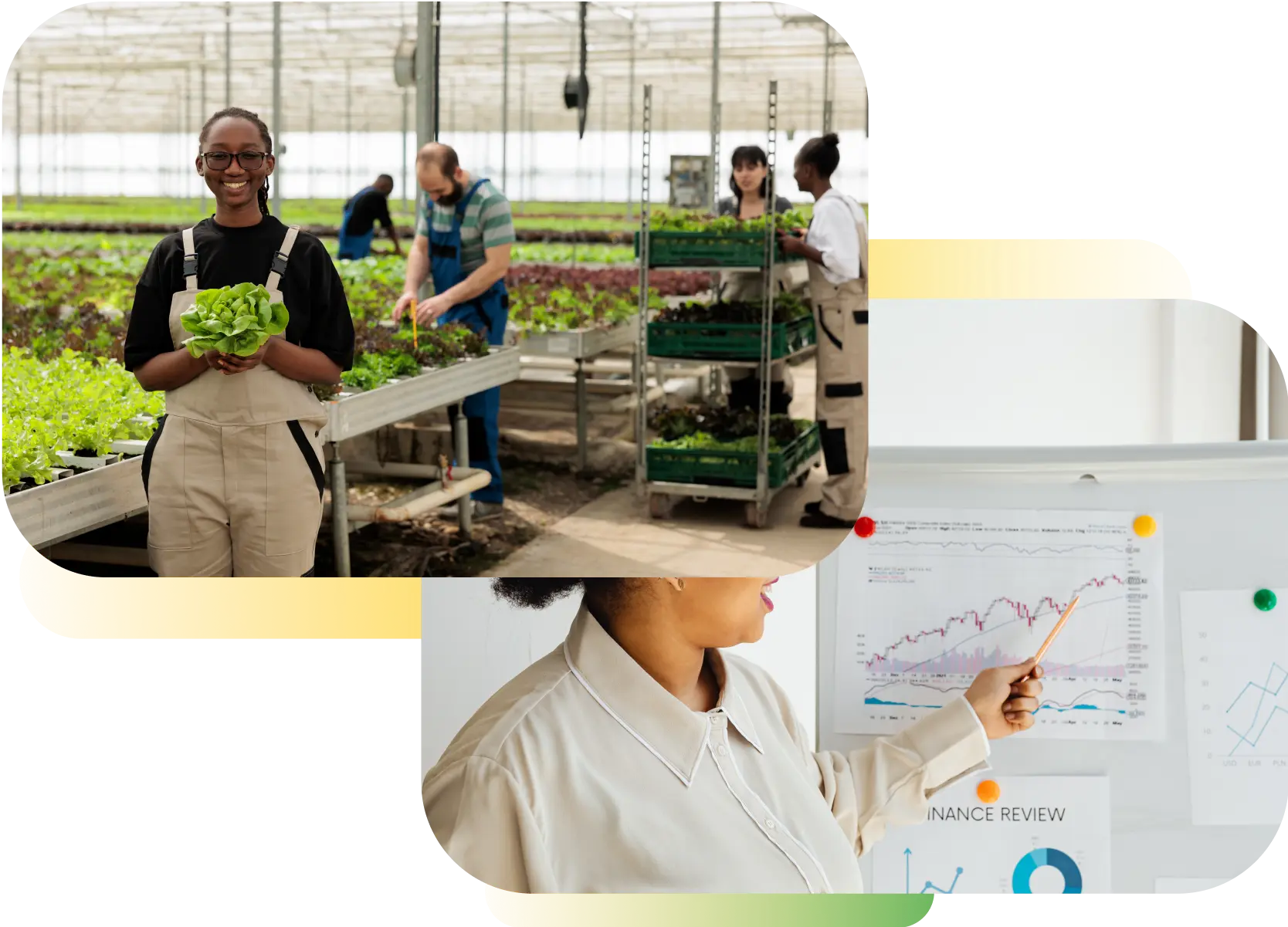 Eco-friendly accounting practices for sustainable business